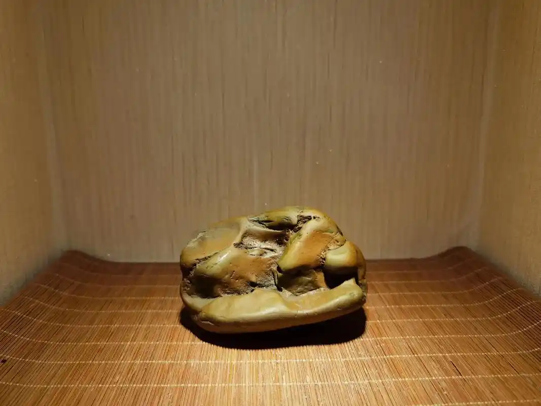德州扑克玩家_德州扑克策略指南_德州扑克玩家分类
